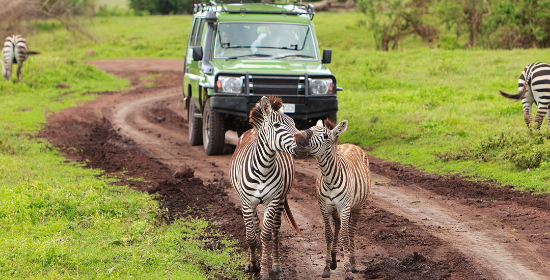 Tanzania: Safari fotografico e Mare a Zanzibar