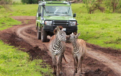 Tanzania: Safari fotografico e Mare a Zanzibar