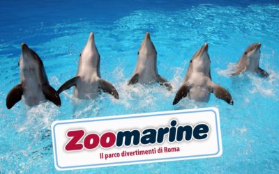 ZOOMARINE 2 GIORNI AL PARCO + 1 NOTTE IN HOTEL